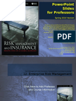 C12 Enterprise Risk Management