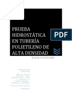 ENSAYO HIDROSTATICO EN PEAD.pdf