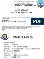 ppt case