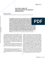 Mode of Action Impaired Fetal Leydig Cell