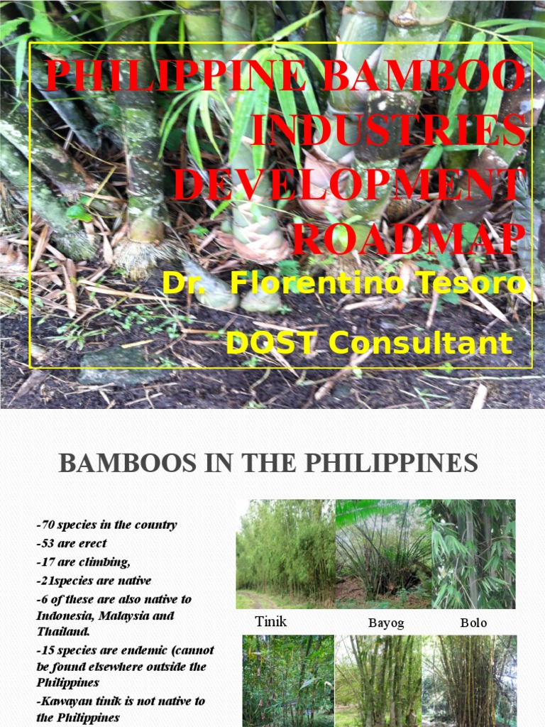 327536107 Philippine Bamboo Industries Development Roadmap by Dr