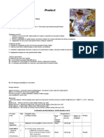 Proiect Inspecție 2017 ,,enigma Otiliei" Cl. A IX-a