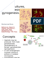 4# Haploid, Androgenesis Dan Gynogenesis - MRQ