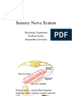 2.update Sensorik-Motorik Neuropsikiatri