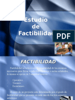 Estudio de Factibilidad 2010...