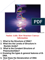 l2 - Dna Structure