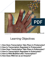 l9 - l10 - Transcription