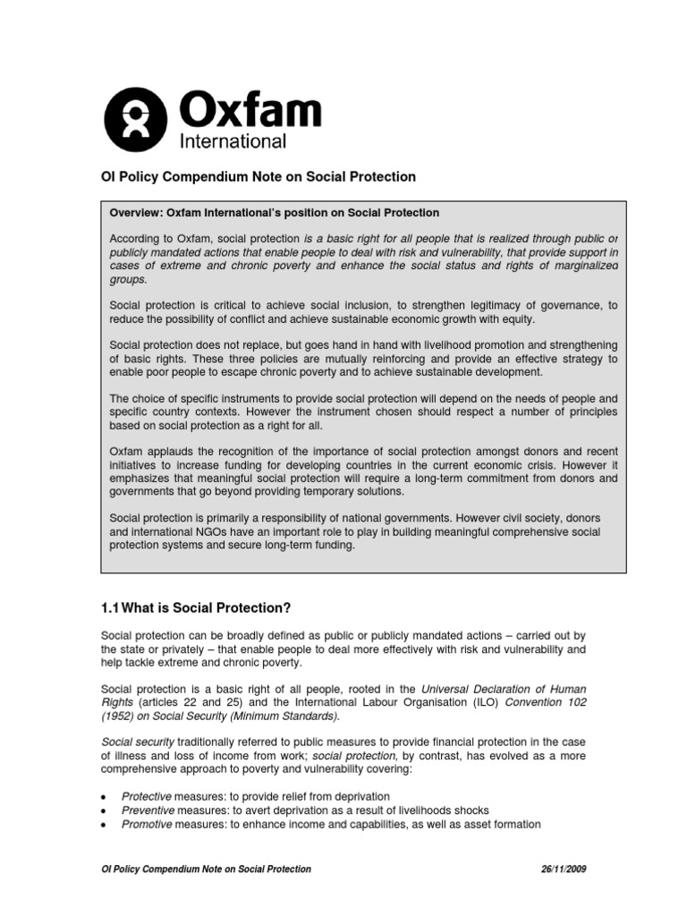 Social Protection | Download Free PDF | Social Protection | Aid ...