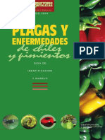 Pepper_Spanish.pdf