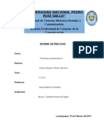 Informe Prácticas Profesionales II