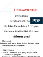 Integumentum Materi