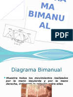 Diagrama Bimanual