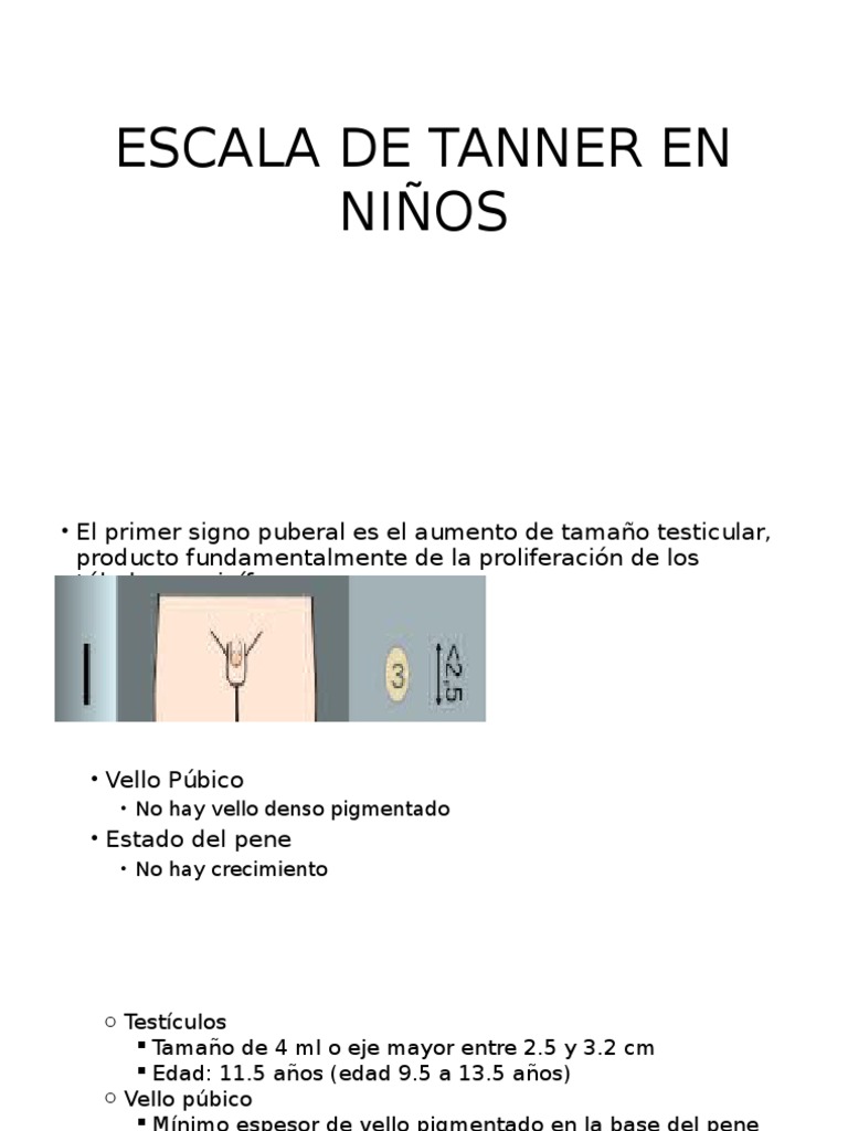 Escala de Tanner en Niños PDF