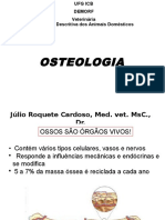 1 Osteologiaveterinriaufg 120927145657 Phpapp01