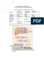 LEMBAR KERJA MAHASISWA (OTOT DAN SARAF).docx