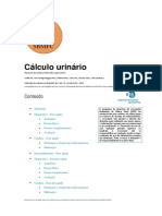 NHG 20 Cálculo urinário(1)