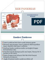 Kanker Pankreas