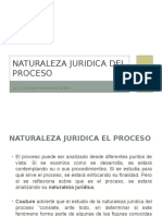 Naturaleza Juridica Del Proceso