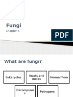 Fungi