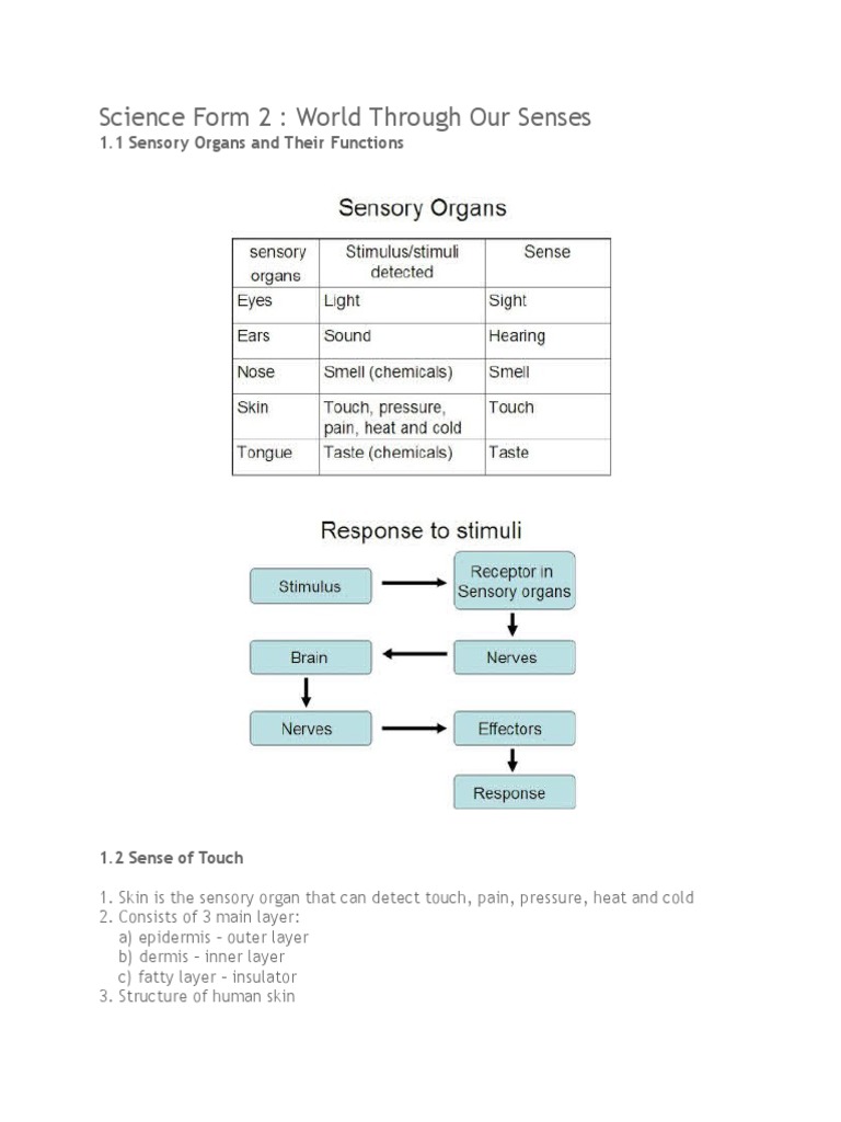 Science Form 2 Chapter 1 | Download Free PDF | Reflection (Physics ...