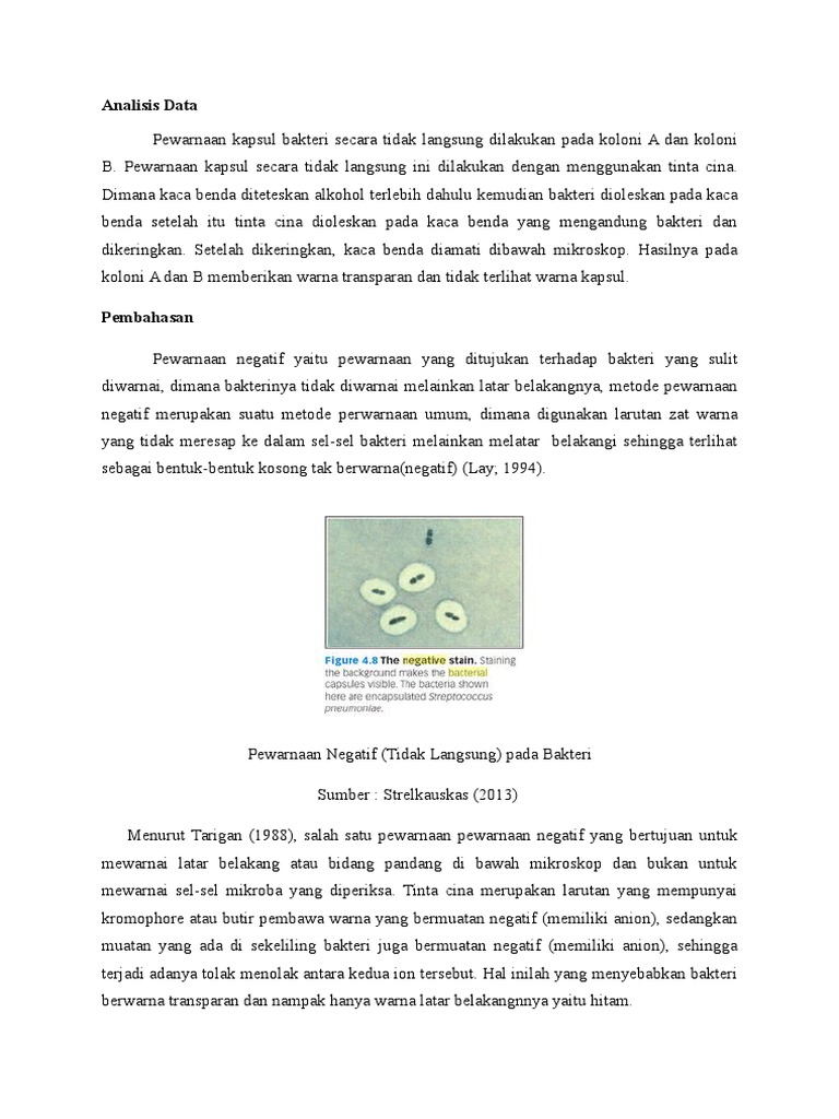 Analisis Pembahasan Pewarnaan Kapsul