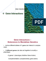 Ch04 2extensions PDF