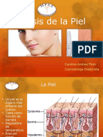 Analisis Piel.pdf