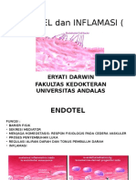 Endotel N Inflamasi