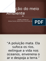 Poluição Do Meio Ambiente