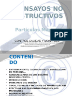 Curso de Particulas Magneticas Nivel 2