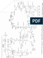 Rutas Metabólicas (Bioca de Conn) PDF