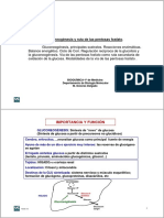 Gluconeogénesis y Vía de Las Pentosas Fosfato I PDF