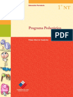 programa pedagogico nt1.pdf