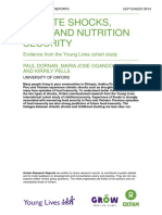 Climate Shocks, Food and Nutrition Security: Evidence From The Young Lives Cohort Study