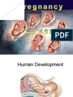 Ch 46b Pregnancy