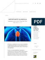 Timo, Uma Pequena e Importante Glândula