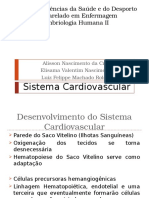 Sistema Cardiovascular