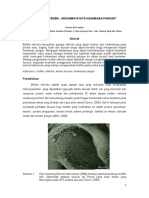 Biofilm Mikroba (Ancaman Produk Pangan) PDF