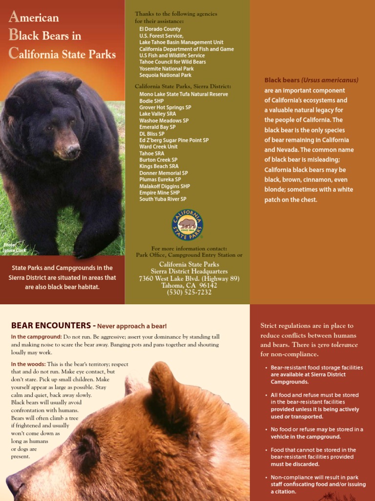 D. L. Bliss State Park Handbook | PDF | Bears | Lake Tahoe