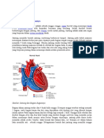 Jantung dan Anatomi