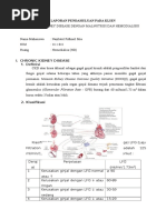 Download LP CKD Dg Malnutrisi by Brem SN342341519 doc pdf