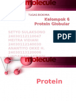 Kelompok 6 Protein Globular