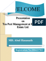 Presentation On Tea Pest Management at Burjan Tea Estate LTD