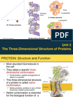 Unit 3 The Three Dimensional Structure of Proteins