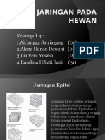 Jaringan Pada Hewan