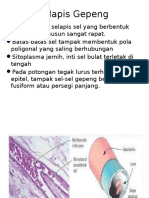 Jaringan Epitel PSPD 2013 Print