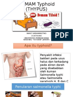 DEMAM Typhoid Flipchart