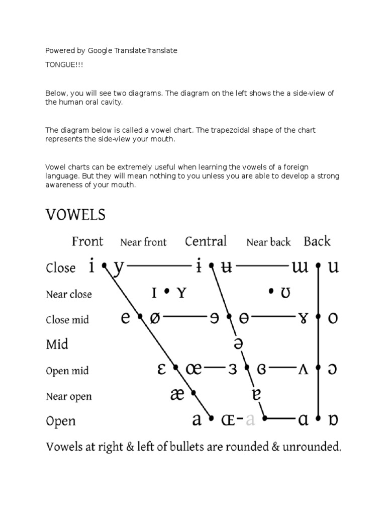 Tongue Height for Vowels | Vowel | Human Voice
