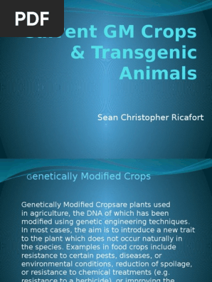 38+ Species Transgenic Animals Examples Background