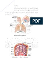 2.4 Anatomi Paru-Paru Dan Pleura: Gambar 2.1 Sistem Respirasi. (A) Sistem Respirasi Traktus Atas